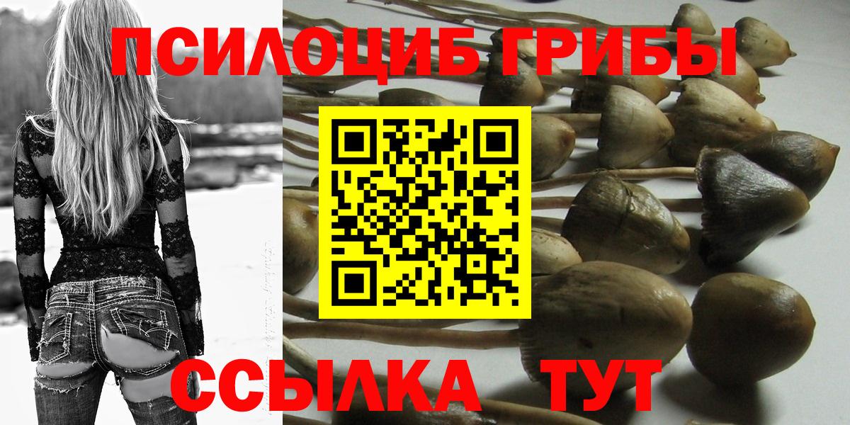 Псилоцибиновые грибы GOLDEN TEACHER Петрозаводск