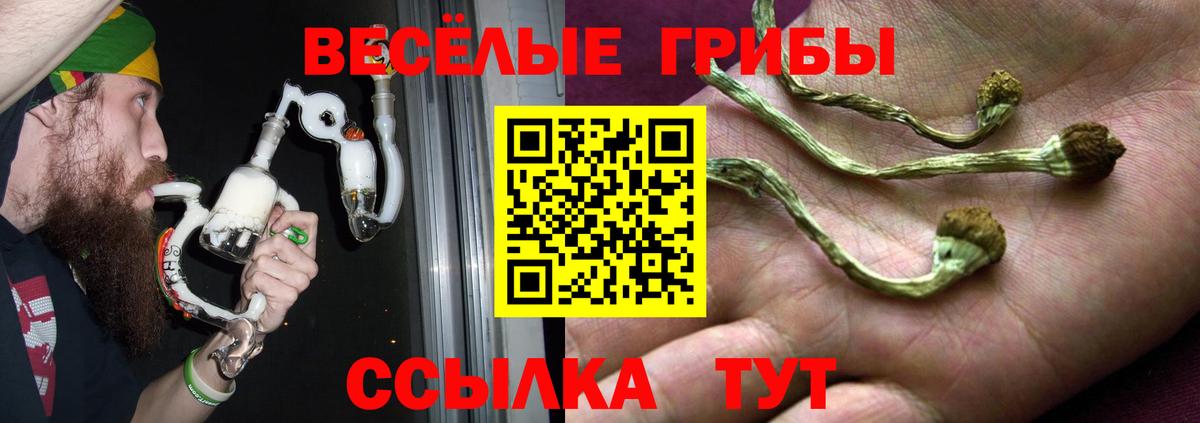 Псилоцибиновые грибы ЛСД  Вход с VPN  Псилоцибиновые грибы мухоморы  Петрозаводск 