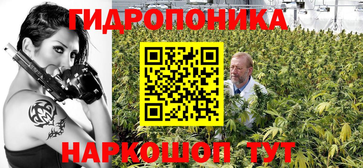 Канабис семена Петрозаводск